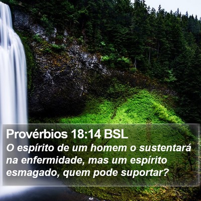 Provérbios 18:14 BSL Bible Verse Image