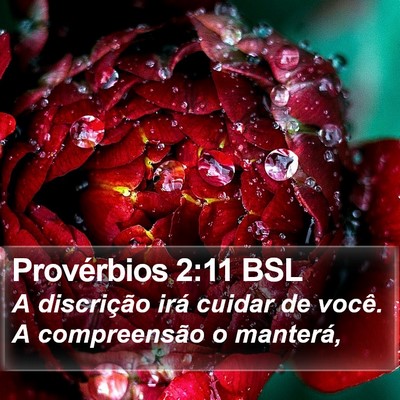 Provérbios 2:11 BSL Bible Verse Image
