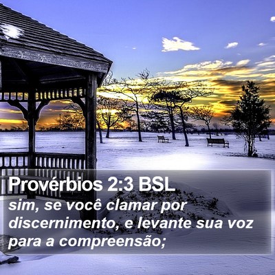 Provérbios 2:3 BSL Bible Verse Image