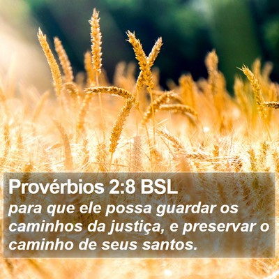 Provérbios 2:8 BSL Bible Verse Image