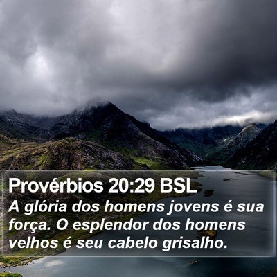 Provérbios 20:29 BSL Bible Verse Image