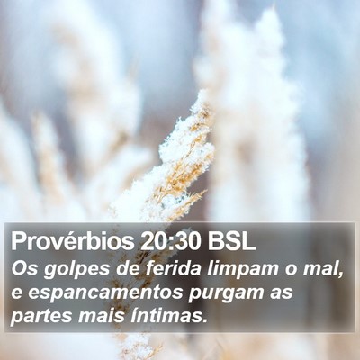 Provérbios 20:30 BSL Bible Verse Image