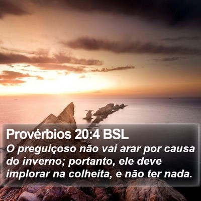 Provérbios 20:4 BSL Bible Verse Image
