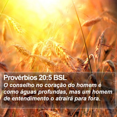Provérbios 20:5 BSL Bible Verse Image
