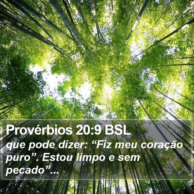 Provérbios 20:9 BSL Bible Verse Image