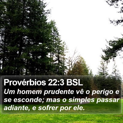 Provérbios 22:3 BSL Bible Verse Image