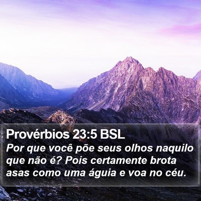 Provérbios 23:5 BSL Bible Verse Image