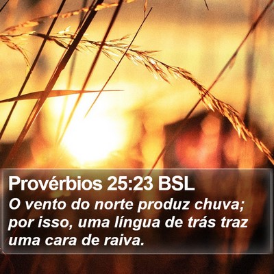 Provérbios 25:23 BSL Bible Verse Image