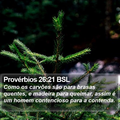Provérbios 26:21 BSL Bible Verse Image