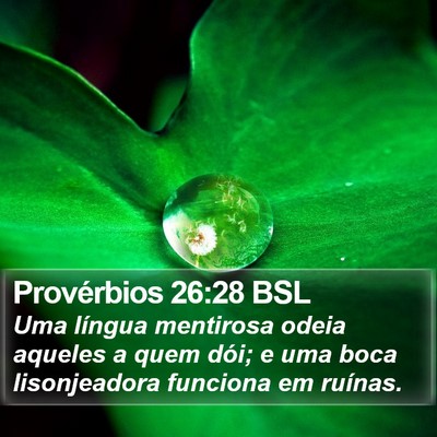 Provérbios 26:28 BSL Bible Verse Image
