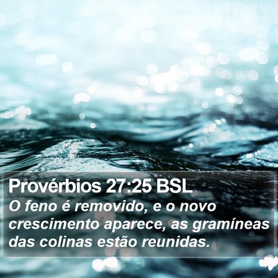 Provérbios 27:25 BSL Bible Verse Image
