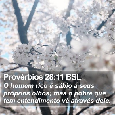 Provérbios 28:11 BSL Bible Verse Image