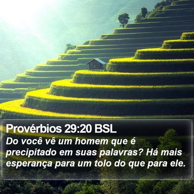 Provérbios 29:20 BSL Bible Verse Image