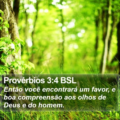 Provérbios 3:4 BSL Bible Verse Image