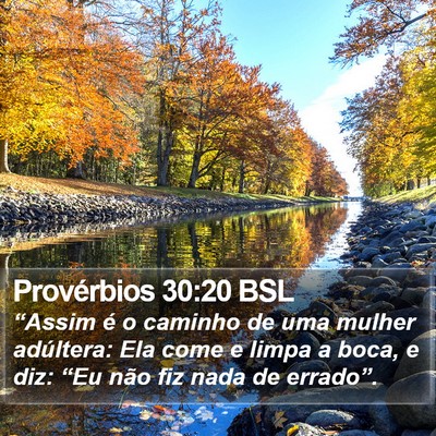 Provérbios 30:20 BSL Bible Verse Image
