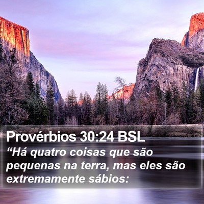 Provérbios 30:24 BSL Bible Verse Image