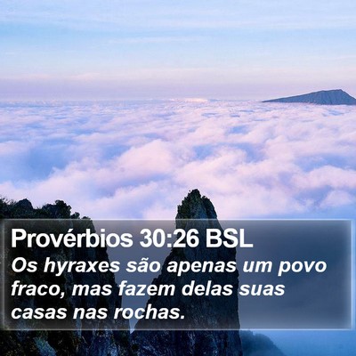 Provérbios 30:26 BSL Bible Verse Image