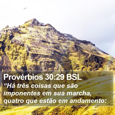 Provérbios 30:29 BSL Bible Verse Image