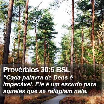 Provérbios 30:5 BSL Bible Verse Image