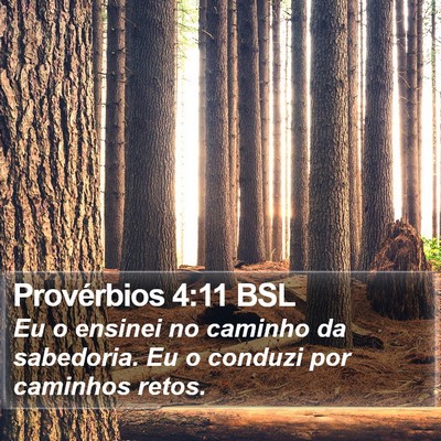 Provérbios 4:11 BSL Bible Verse Image