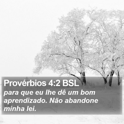Provérbios 4:2 BSL Bible Verse Image