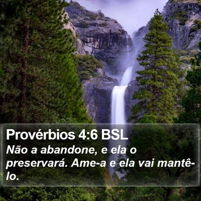 Provérbios 4:6 BSL Bible Verse Image