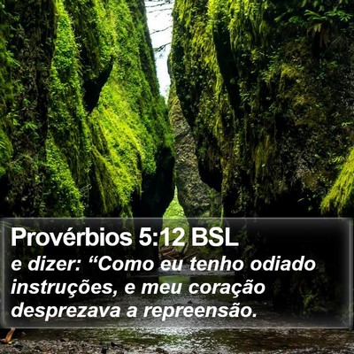 Provérbios 5:12 BSL Bible Verse Image