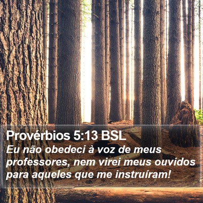 Provérbios 5:13 BSL Bible Verse Image