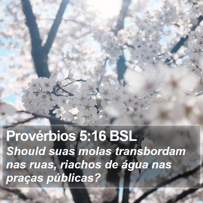 Provérbios 5:16 BSL Bible Verse Image