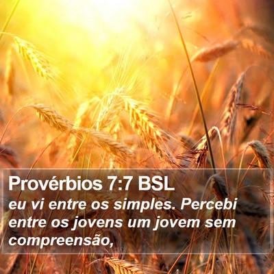 Provérbios 7:7 BSL Bible Verse Image