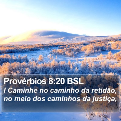 Provérbios 8:20 BSL Bible Verse Image