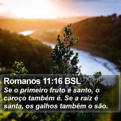 Romanos 11:16 BSL Bible Verse Image