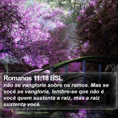 Romanos 11:18 BSL Bible Verse Image