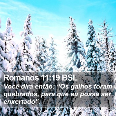 Romanos 11:19 BSL Bible Verse Image