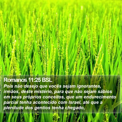 Romanos 11:25 BSL Bible Verse Image