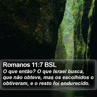 Romanos 11:7 BSL Bible Verse Image