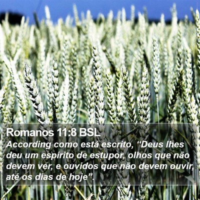 Romanos 11:8 BSL Bible Verse Image