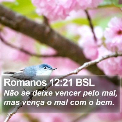 Romanos 12:21 BSL Bible Verse Image