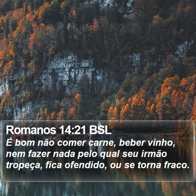 Romanos 14:21 BSL Bible Verse Image