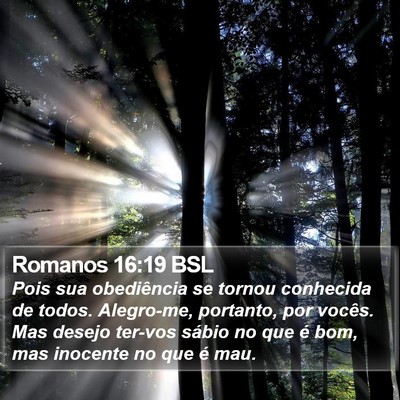 Romanos 16:19 BSL Bible Verse Image