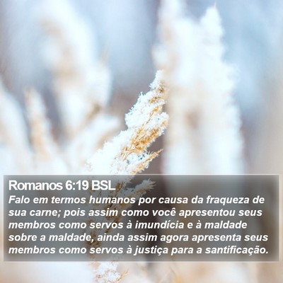 Romanos 6:19 BSL Bible Verse Image