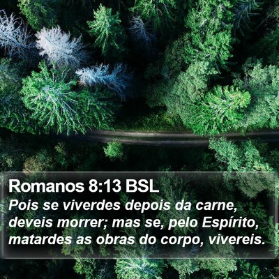 Romanos 8:13 BSL Bible Verse Image
