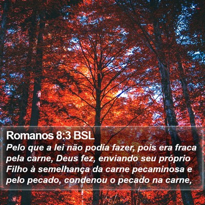 Romanos 8:3 BSL Bible Verse Image