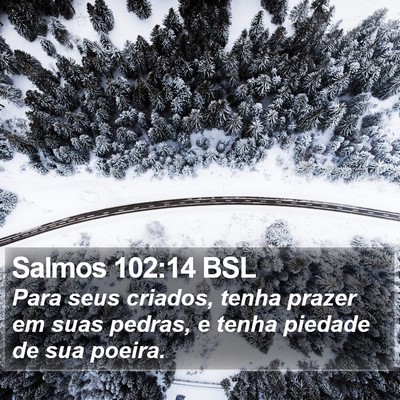 Salmos 102:14 BSL Bible Verse Image