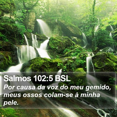 Salmos 102:5 BSL Bible Verse Image