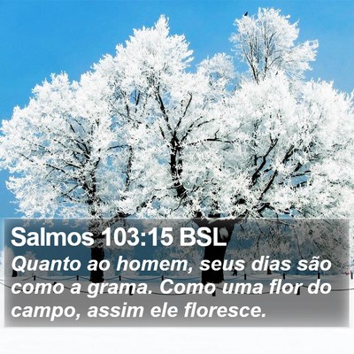 Salmos 103:15 BSL Bible Verse Image