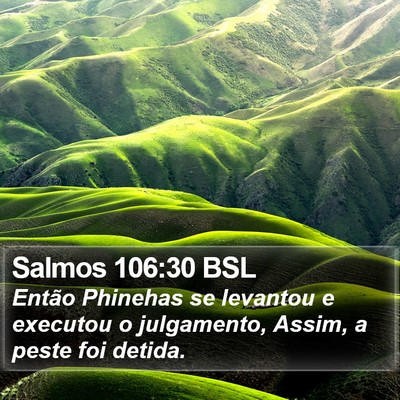 Salmos 106:30 BSL Bible Verse Image