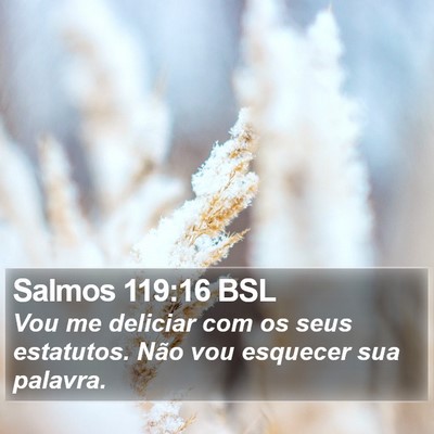 Salmos 119:16 BSL Bible Verse Image