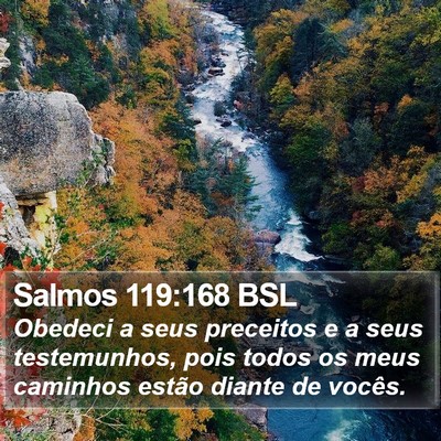 Salmos 119:168 BSL Bible Verse Image