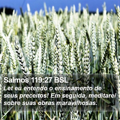 Salmos 119:27 BSL Bible Verse Image